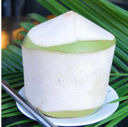 去三亞除了沙灘 美食,還有這些自帶故事的熱帶植物也不能錯過