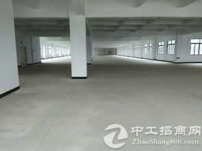 科技筑夢(mèng)·智造未來(lái) 大朗新啟千級(jí)無(wú)塵車(chē)間，定義手機(jī)屏智造新標(biāo)桿